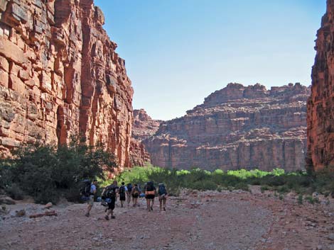 Havasu Canyon Trail