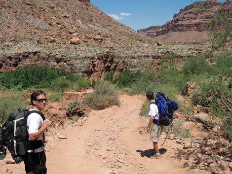 Havasu Canyon Trail