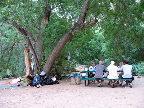 Havasu Canyon Trail