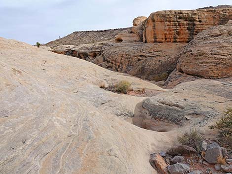 Doodlebug Arch