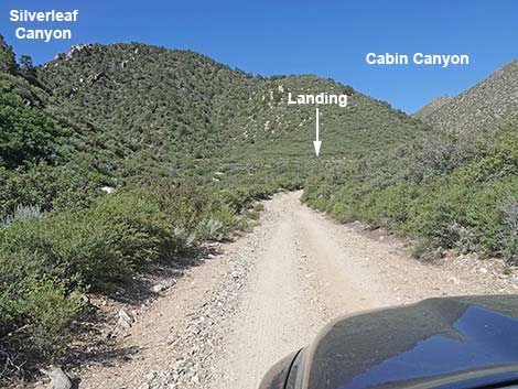 Cabin Canyon Road