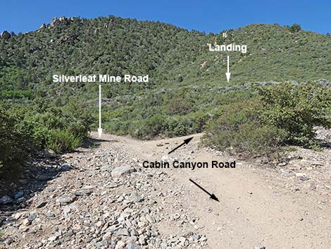 Cabin Canyon Road