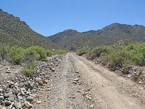 Cabin Canyon Road