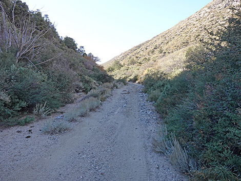 Cabin Canyon Road