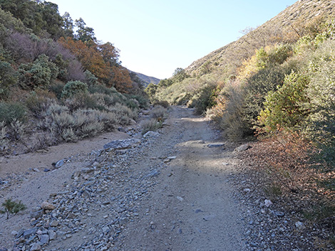 Cabin Canyon Road