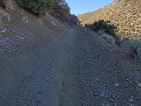 Cabin Canyon Road