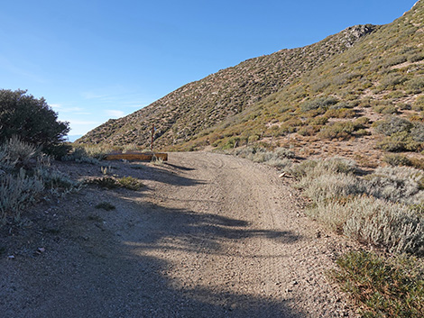 Cabin Canyon Road