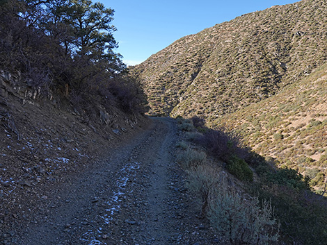 Upper Upper Nickel Canyon Road