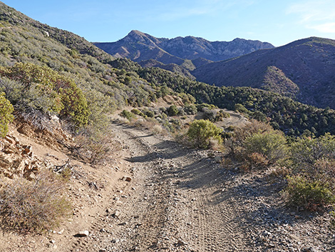 Upper Upper Nickel Canyon Road