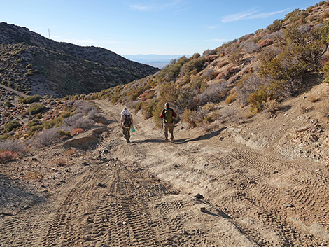 Upper Upper Nickel Canyon Road