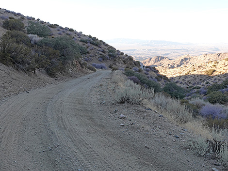 Upper Upper Nickel Canyon Road