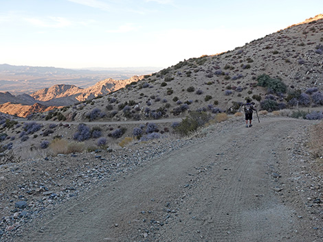 Upper Upper Nickel Canyon Road