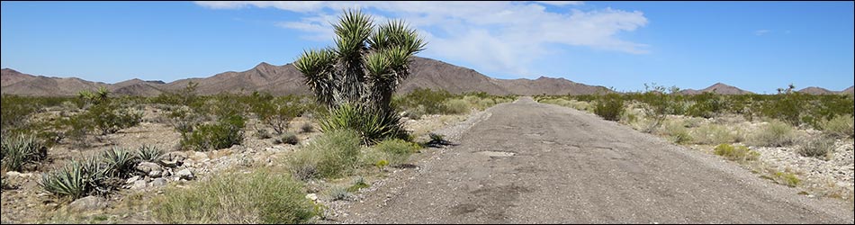 Gold Butte Road