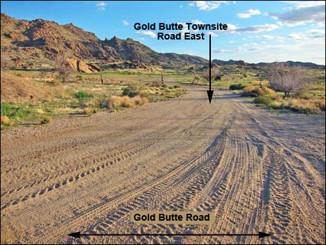 Gold Butte Road