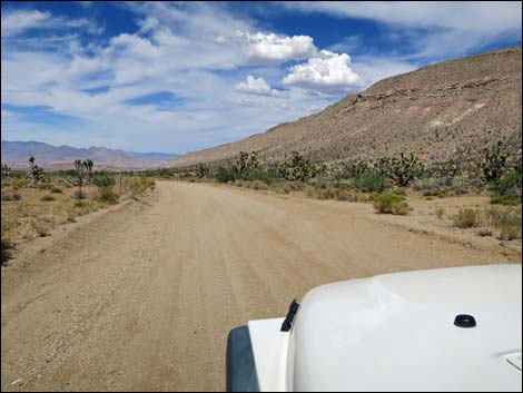 Gold Butte Road