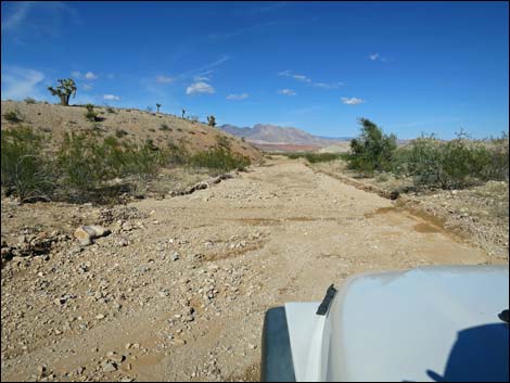 Gold Butte Road