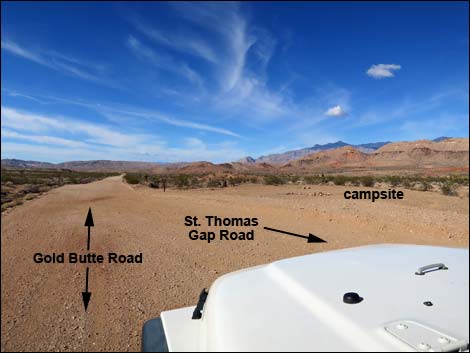 Gold Butte Road