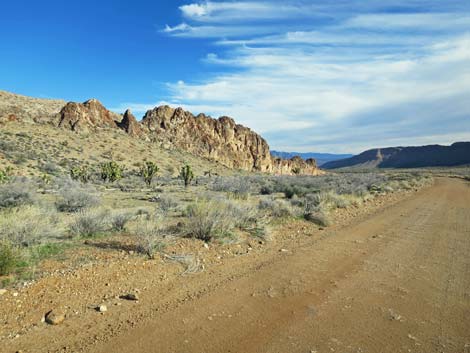 Gold Butte Road