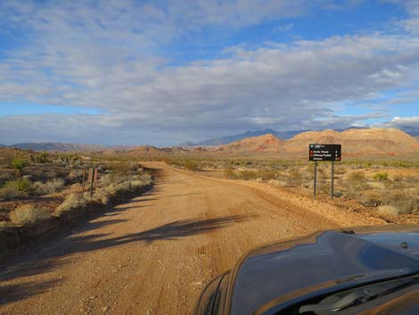 Gold Butte Road