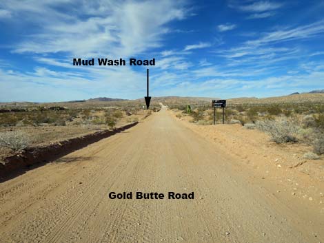 Gold Butte Road