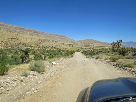 Gold Butte Road