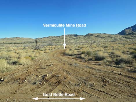 Gold Butte Road