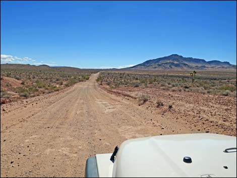 Gold Butte Road