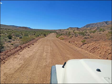 Gold Butte Road