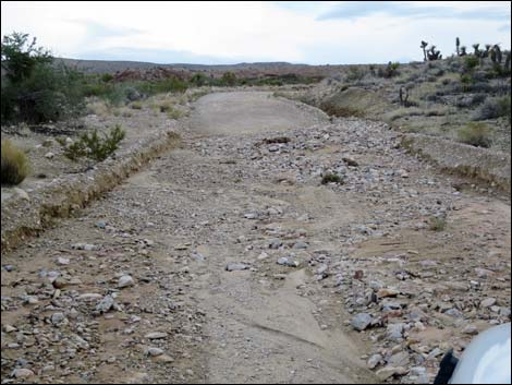 Gold Butte Road