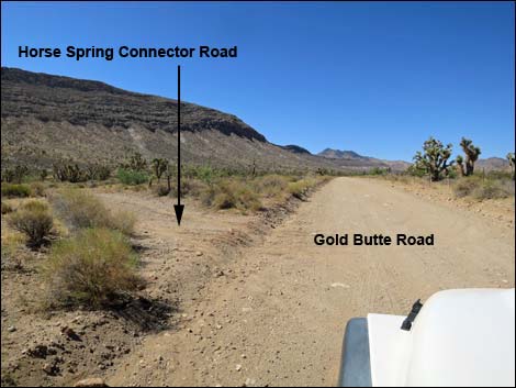 Gold Butte Road