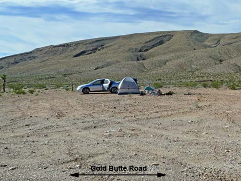 Gold Butte Road