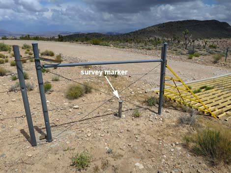 Gold Butte Road