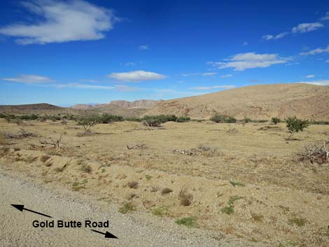 Gold Butte Road