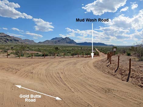 Gold Butte Road