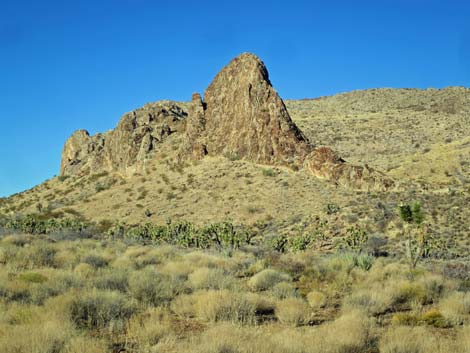 Gold Butte Road