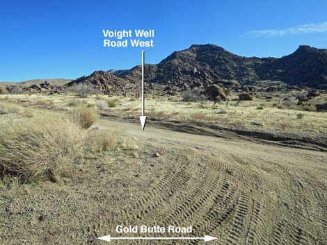 Gold Butte Road