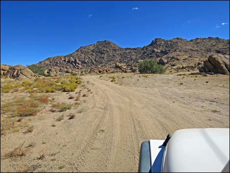 Gold Butte Townsite Road