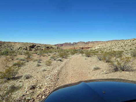 Gold Butte Wash Road