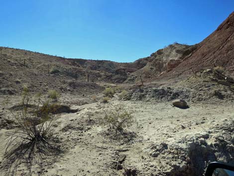 Gold Butte Wash Road