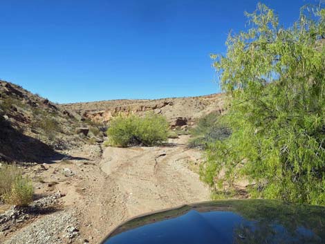 Gold Butte Wash Road