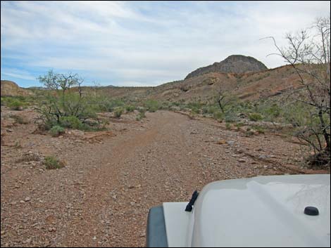 Gold Butte Wash Road