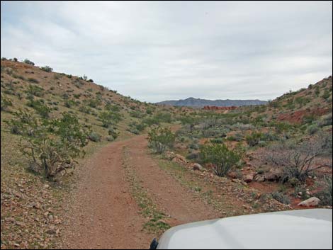 Gold Butte Wash Road