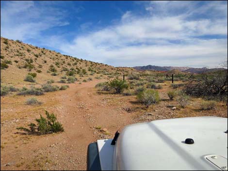 Gold Butte Wash Road