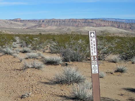 Greasewood Basin East Road