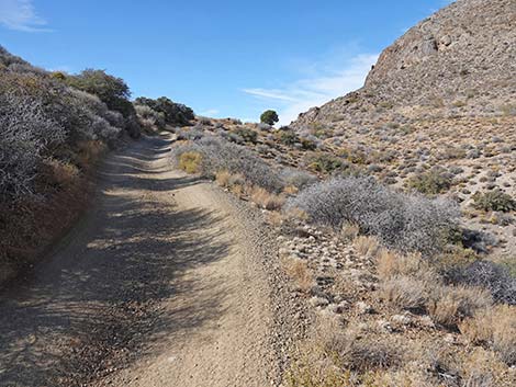 Hen Spring Canyon Road