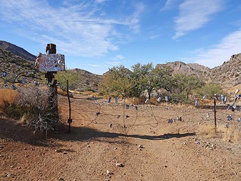 Hen Spring Canyon Road