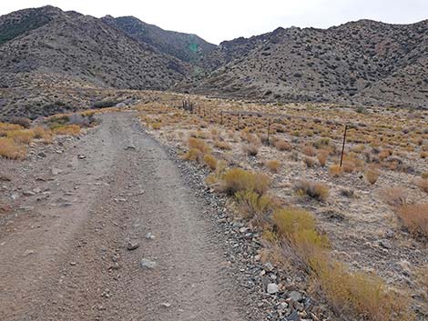 Hen Spring Canyon Road