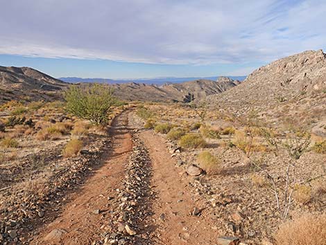 Hen Spring Canyon Road