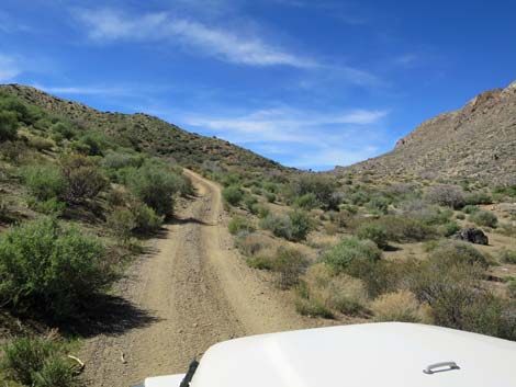 Hen Spring Canyon Road