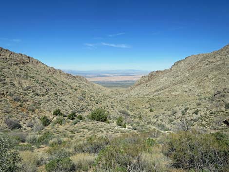 Hen Spring Canyon Road